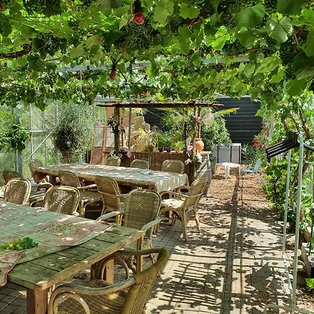 De Oude Rijn Ter Aar