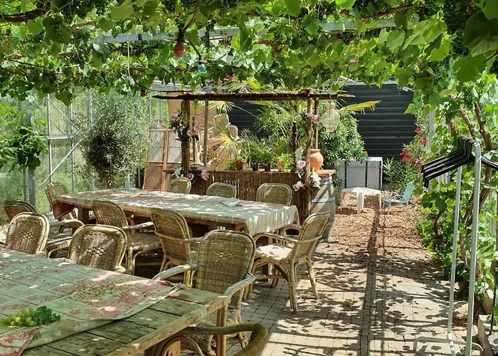 De Oude Rijn Ter Aar